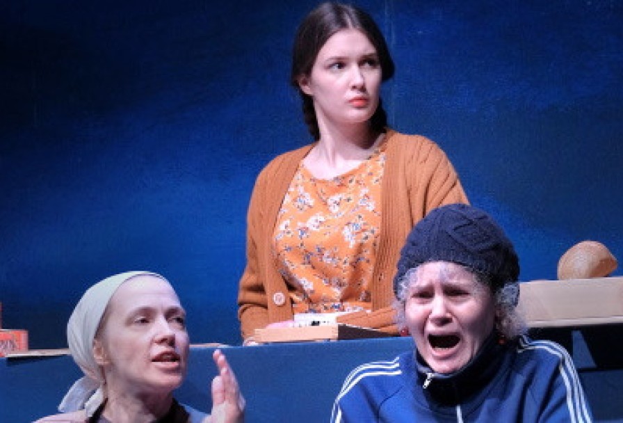 Земля Эльзы