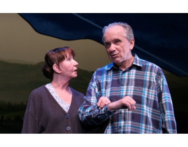 Земля Эльзы